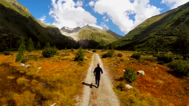 Молодой человек, бегущий по дороге природы — стоковое видео