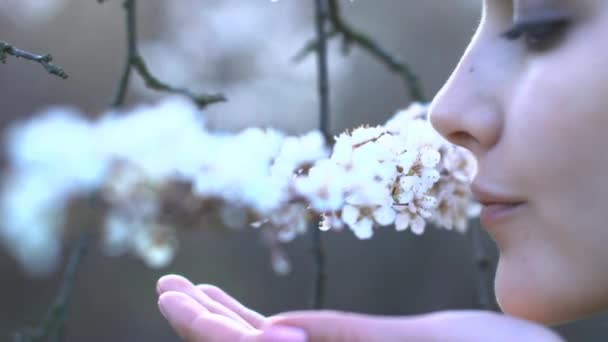 Mujer oliendo rama de árbol floreciente blanca — Vídeos de Stock