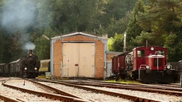 Comboio locomotivo a vapor — Vídeo de Stock