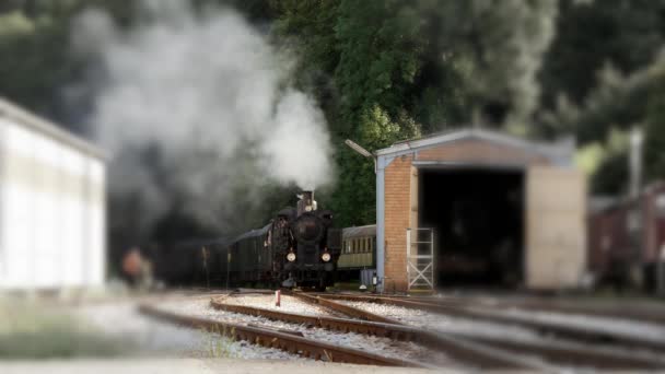 Tren de locomotoras de vapor — Vídeo de stock