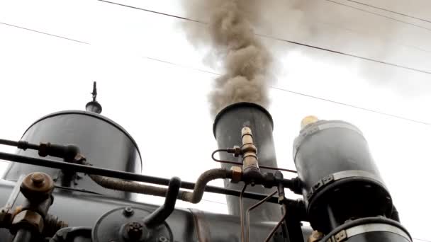 Rauchende Dampflokomotive — Stockvideo