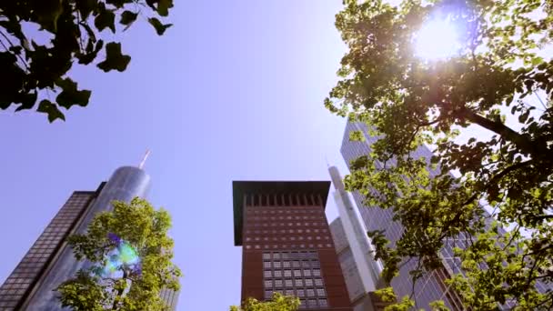 Vista de rascacielos desde el parque — Vídeo de stock