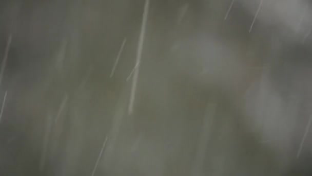 Regen fällt im Freien — Stockvideo