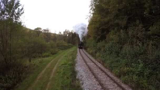Locomotiva a vapor — Vídeo de Stock