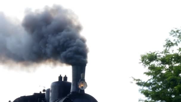 Nube di fumo della locomotiva — Video Stock