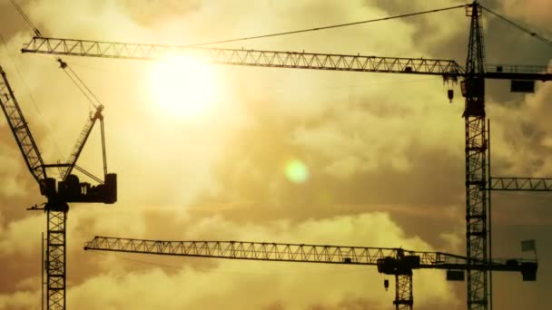 Silhouette of cranes construction — Stock Video