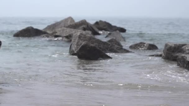 Male jogging at beach — Stock Video