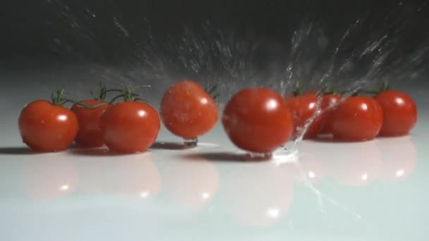 Čerstvá rajčata, stříkající vodou