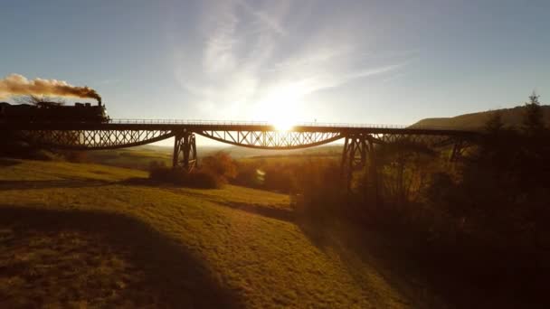 Dampflokomotive überquert Brücke — Stockvideo