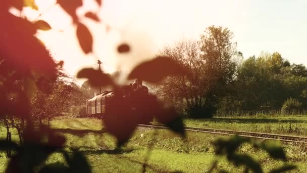 Il treno locomotivo sta guidando — Video Stock