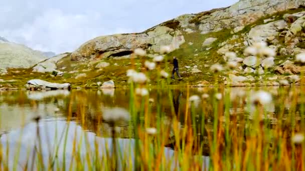 Man is surrounded nature scenery — Stock Video