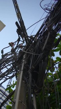 tangled wires on utility pole near leafy facade, dense cable cluster in low-angle daylight, concrete mast
