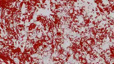 Beyaz tuval üzerinde kırmızı sıçrama dokusu. Karmaşık boya parçaları ve cesur detaylar.