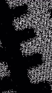 Gürültülü Tahıl Mekanik Silueti Mühendis, Yüksek Kontrastlı Siyah ve Beyaz, Noktalı Parçacıklar halinde Mikroteçhizat Desenini Denetliyor