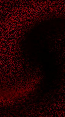 Koyu Kırmızı Girdap Kara Negatif Alan 'a Karşı Dönüyor, Yoğunlaşmış Tahıl ve Gölgeli Çekirdek Gerilim Hareketi