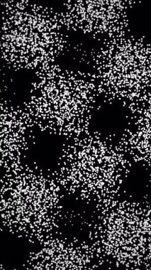 Tekrarlayan Parçacık Kümesi Mozaik Modeli, Tekstil Tasarımcısı Kumaş Yazısını Yoğun Nokta Kümeleri Olarak Önizledi,