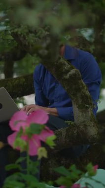 Bir kişi özenle bir dizüstü bilgisayar üzerinde çalışıyor. Etrafı renkli ve canlı çiçeklerle çevrili. Açık havada huzurlu bir ortam.