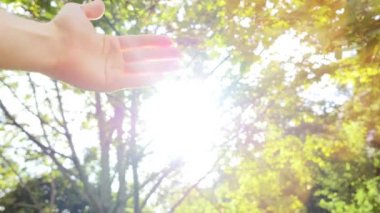 güneş ışığı dokunmadan eller