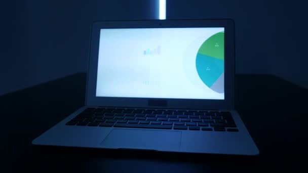 Diagrams on laptop computer screen — Stock Video