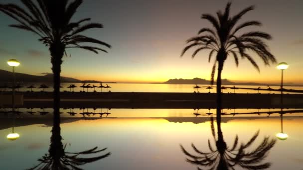 Palmeras reflejadas en el agua de mar — Vídeo de stock