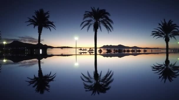 Palmeras reflejadas en el agua de mar — Vídeos de Stock