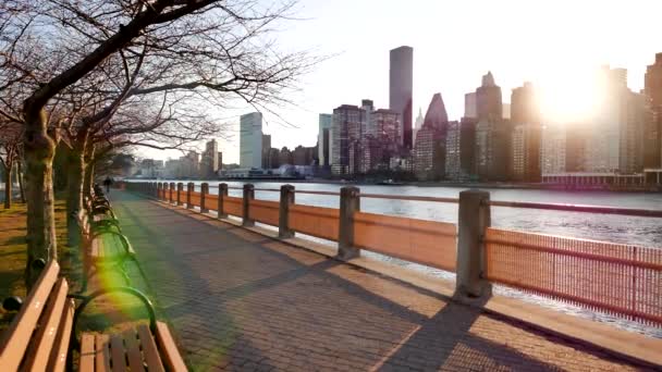 Colorido atardecer sobre metrópolis — Vídeo de stock