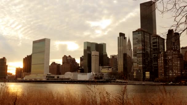 Parque de la ciudad de Nueva York — Vídeos de Stock