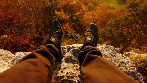 Homme surplombant paysage d'automne — Video