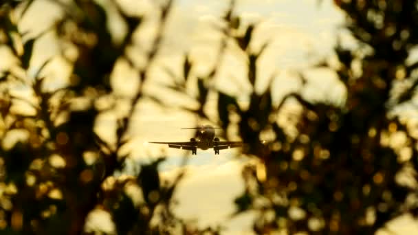 Flugzeug fliegt über Kopf — Stockvideo