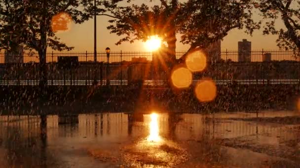 Colorido atardecer en verano — Vídeos de Stock