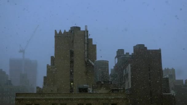 Nieve cayendo en la ciudad de Nueva York — Vídeo de stock