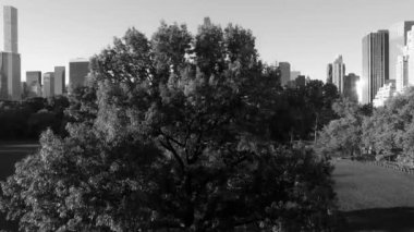 New York şehir silüeti binalar