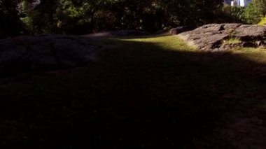 New York şehir silüeti binalar