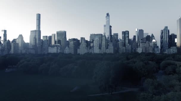 New York City skyline van gebouwen — Stockvideo