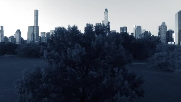 Edificios del skyline de Nueva York — Vídeos de Stock