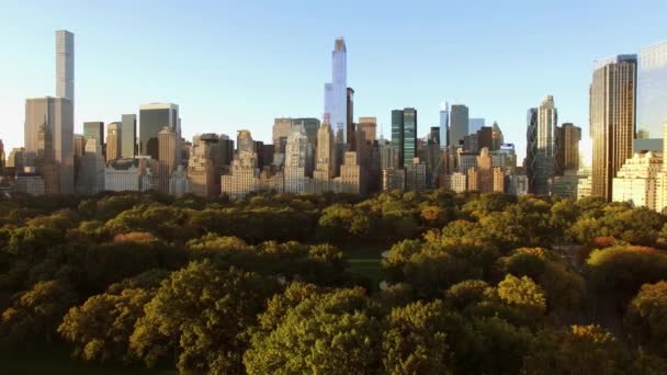 New York City skyline byggnader — Stockvideo