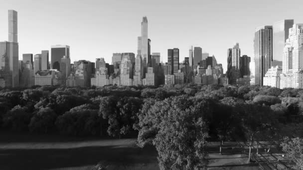 New York City skyline budynków — Wideo stockowe