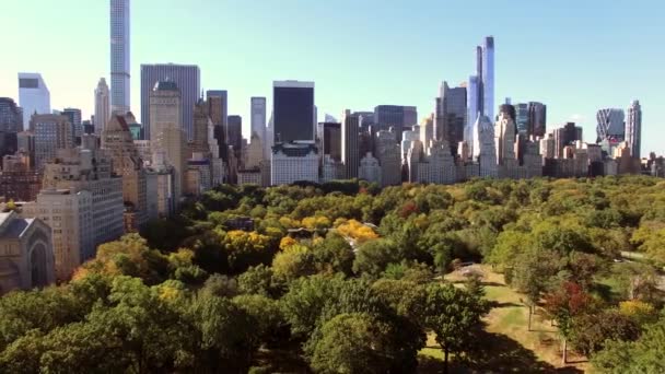 New York City skyline byggnader — Stockvideo