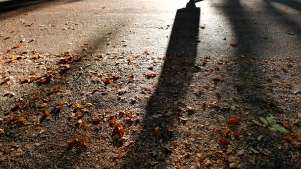 Persone che fanno jogging nel parco della città — Video Stock