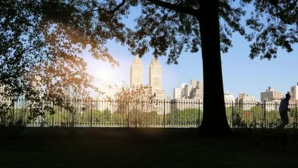 Människor jogging i stadsparken — Stockvideo