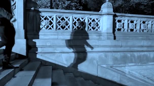 Yalnız parkta merdivenlerde yürüyen adam — Stok video