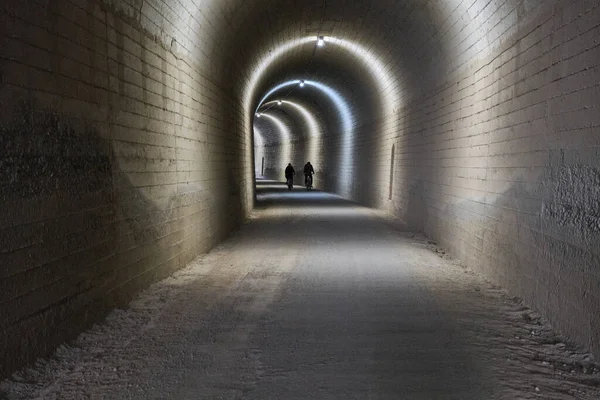 Tågtunnel Övergiven Landsbygden — Stockfoto