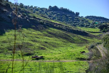 Güneşli bir günde, İspanya 'nın kırsal kesiminde yeşil çimlerle kaplı bir ev.