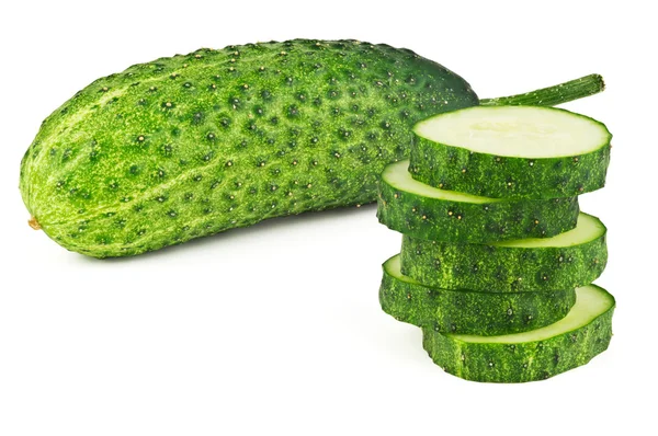 Young cucumber — Stock Photo, Image