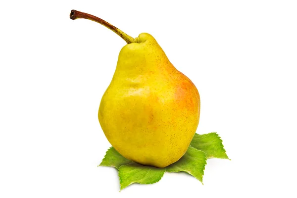 Gele pear — Stockfoto