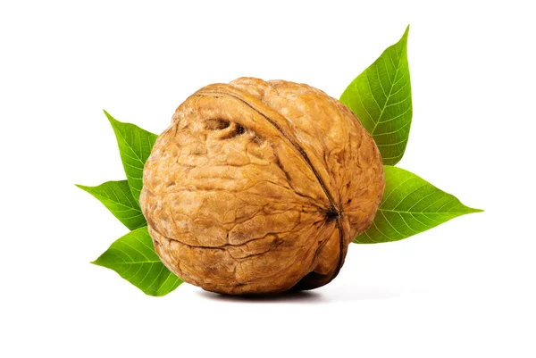 Nueces — Foto de Stock