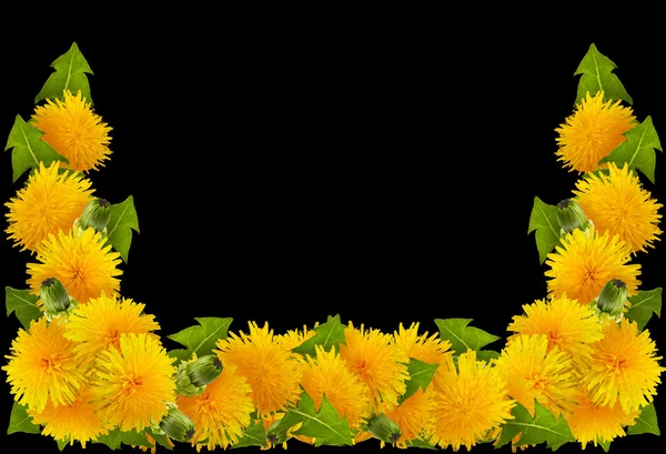 Frame van bloemen — Stockfoto