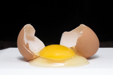 kırık tavuk yumurta