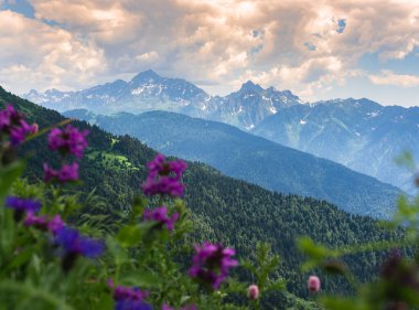 Yeşil dağ yamacı. Gün batımında sisli dağların katmanları. Çok katmanlı sisli isimler. Krasnaya Polyana, Sochi, Rusya.