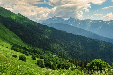 Yeşil dağ yamacı. Gün batımında sisli dağların katmanları. Çok katmanlı sisli isimler. Krasnaya Polyana, Sochi, Rusya